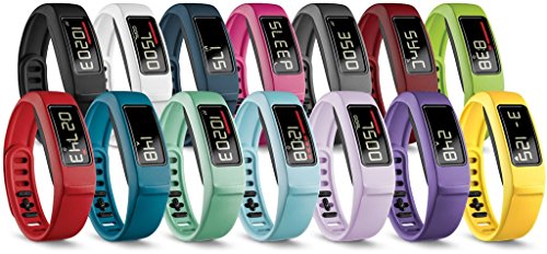 authentic garmin vivofit 2 replacement band