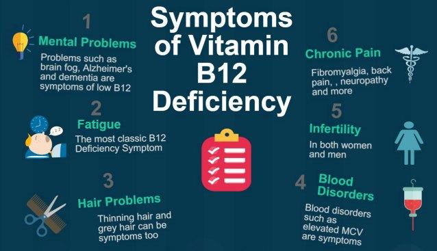 Losing Fats » Deficiency Vitamin B12 For Diet Therapy